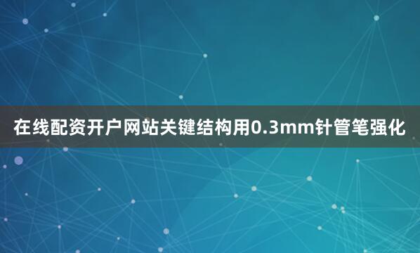 在线配资开户网站关键结构用0.3mm针管笔强化
