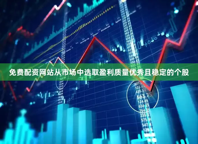 免费配资网站从市场中选取盈利质量优秀且稳定的个股