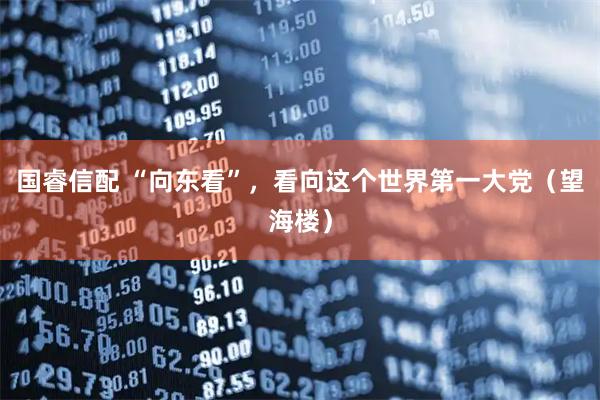 国睿信配 “向东看”，看向这个世界第一大党（望海楼）